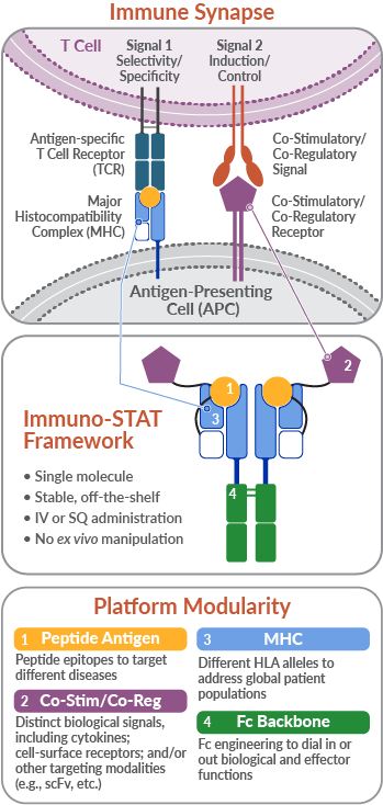 Our Approach - Cue Biopharma