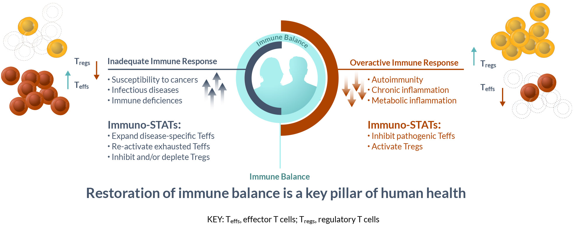 Our Approach - Cue Biopharma